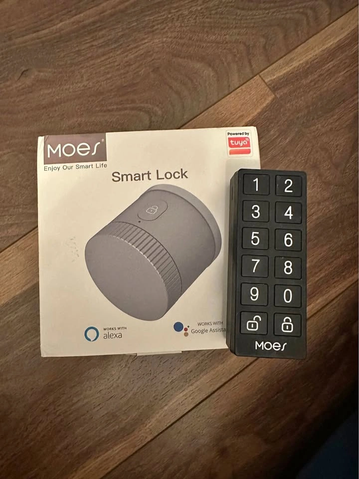 Moes Smart Lock
