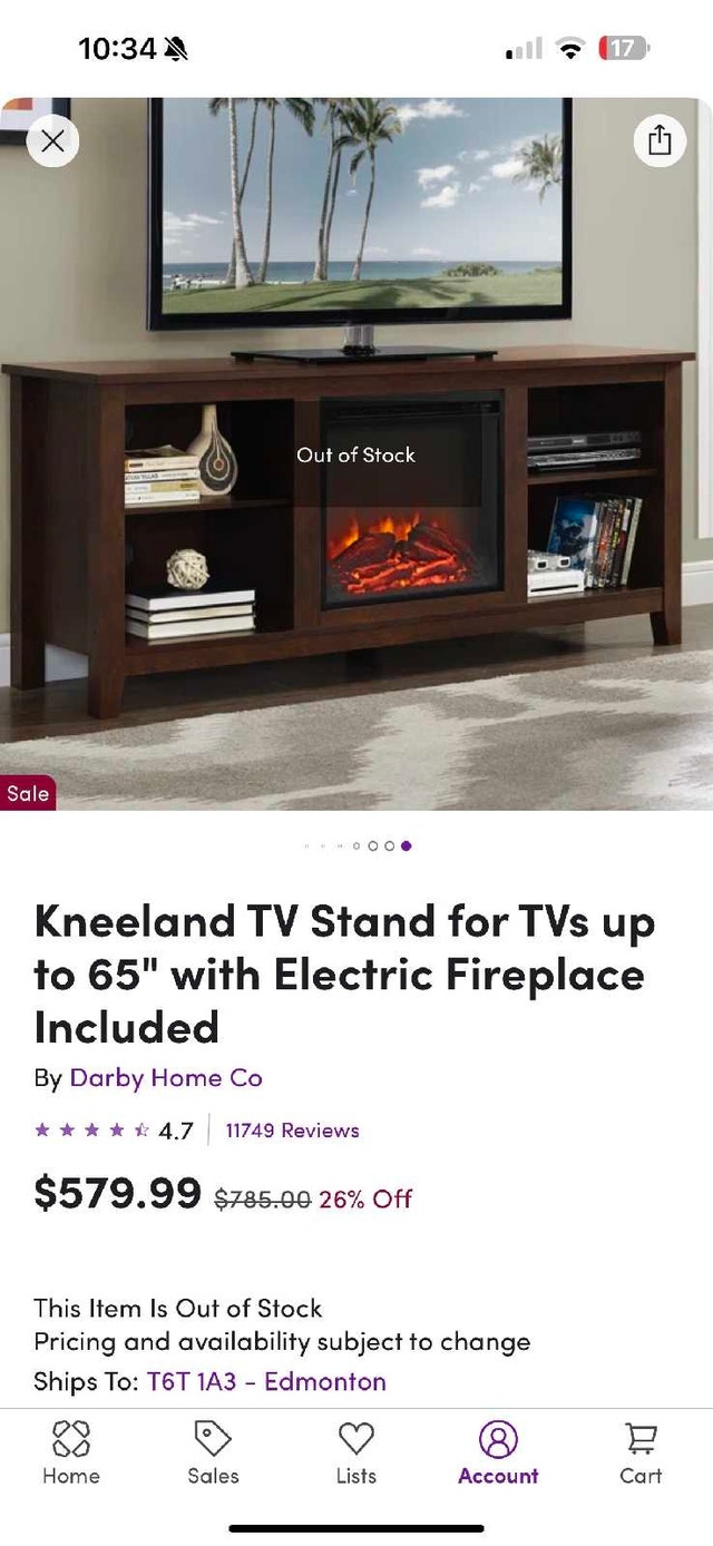 Darby Home Co Kneeland TV Stand with Electric Fireplace - photo 2