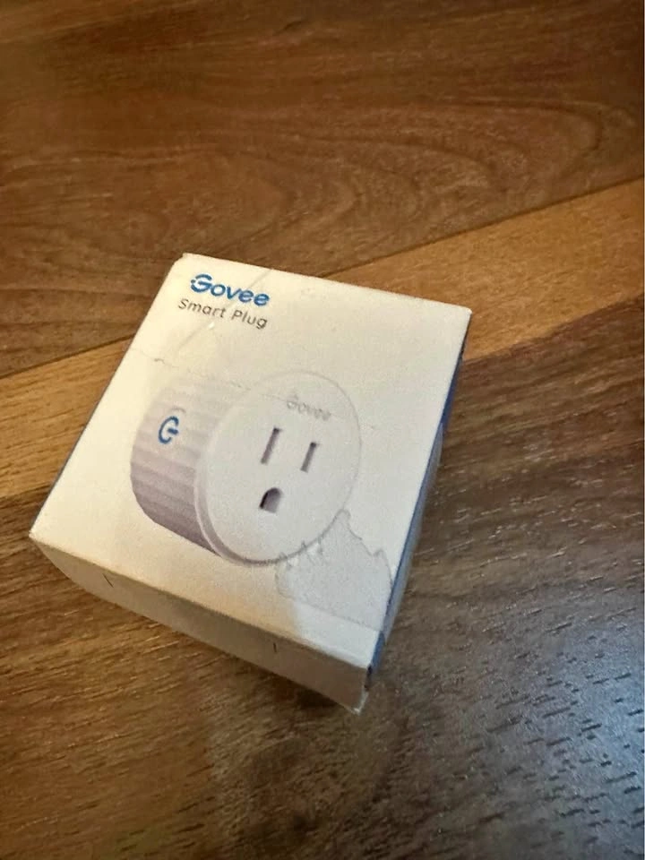 Govee Smart Plug