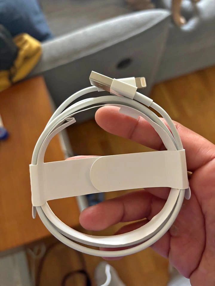 Apple Lightning to USB Cable