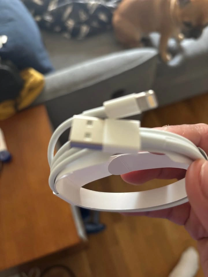 Apple Lightning to USB Cable - photo 2