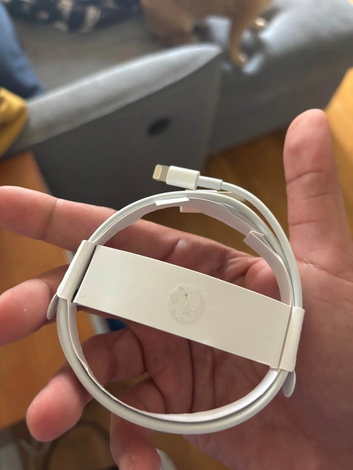Apple Lightning to USB Cable - photo 3