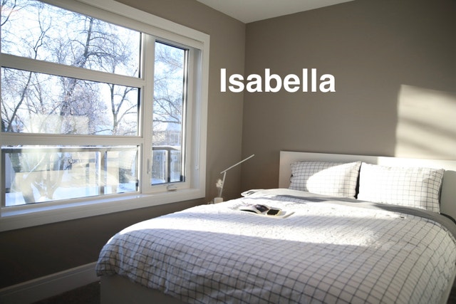 UA Room for Rent $800 All-Inclusive