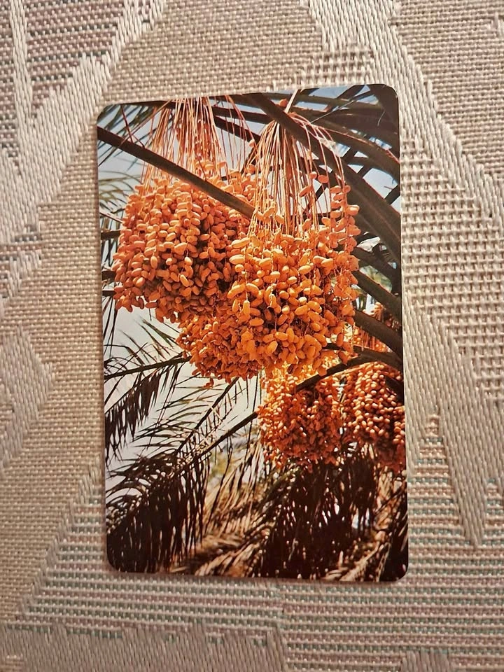 1998 UAE Etisalat Collectible Card – Dates of the Emirates