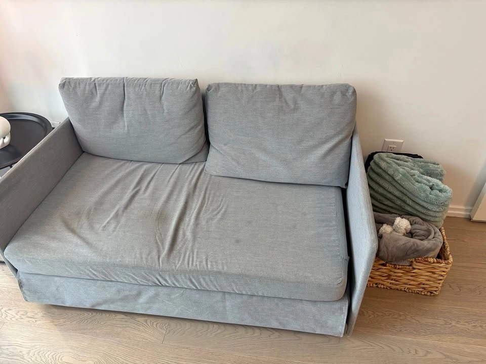 IKEA FRIDHULT Sofa Bed