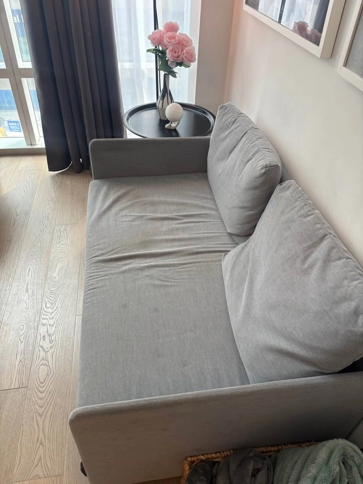 IKEA FRIDHULT Sofa Bed - photo 2