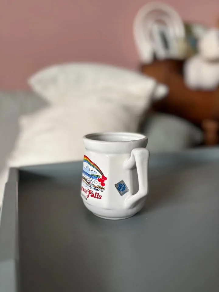 Vintage Niagara Falls Mug image indicator(2)