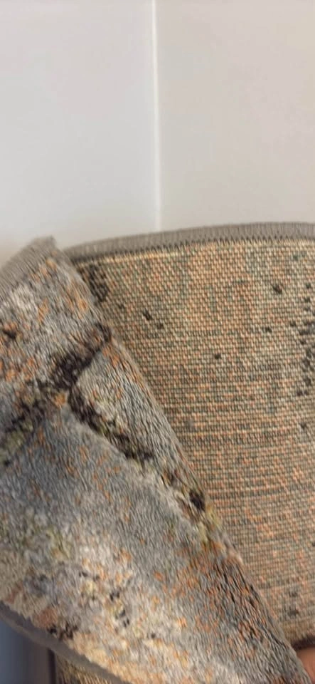 Gorgeous green rug: 5.2’ x 7.5’ - photo 3