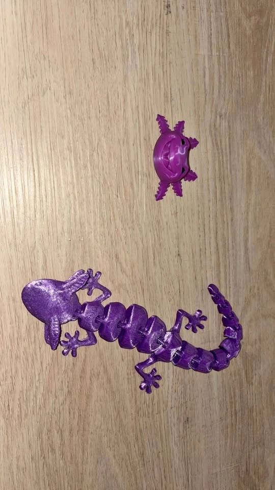 3D Printed Articulated Axolotl and Magnet Set