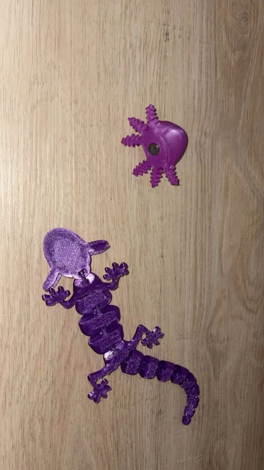 3D Printed Articulated Axolotl and Magnet Set - photo 2