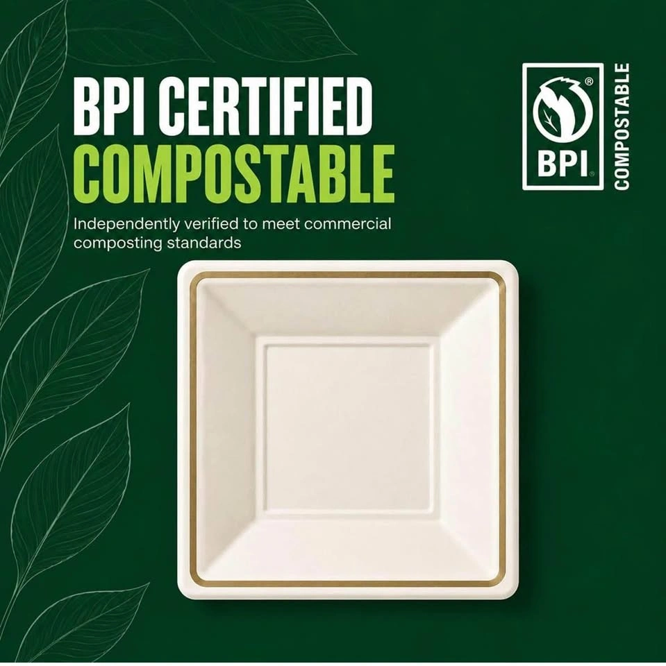 9” Square Sugarcane Plates - Recyclable/ Compostable - photo 3