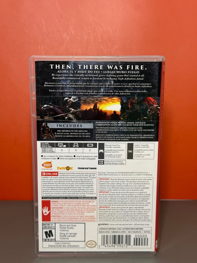 Dark Souls Remastered - Nintendo Switch - photo 3