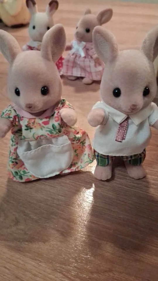 Sylvanian Families House with Furniture & Figures 🏡 image indicator(7)