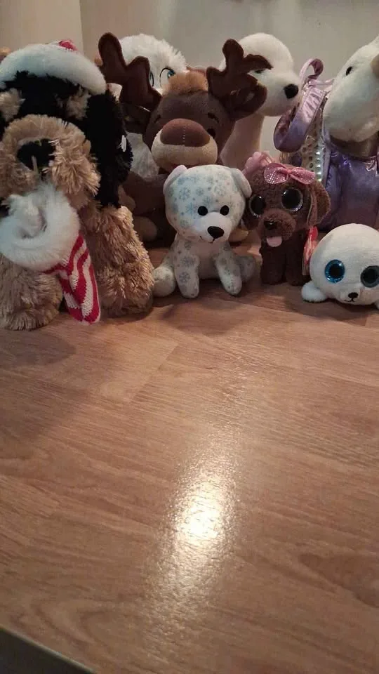 a cute collection of plush toys perfect for kids! 🧸 image indicator(3)