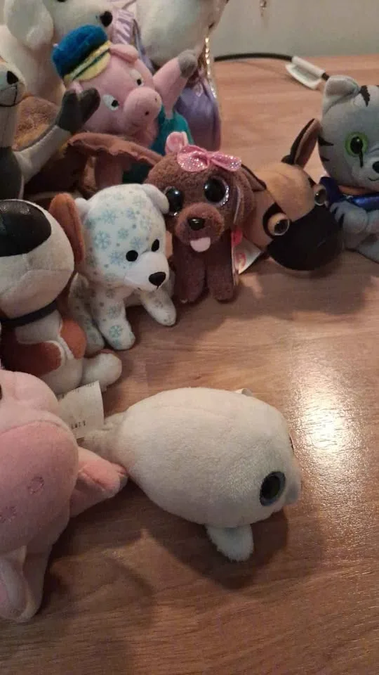 a cute collection of plush toys perfect for kids! 🧸 image indicator(4)