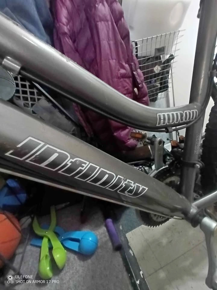 Infinity Huron Mountain Bike