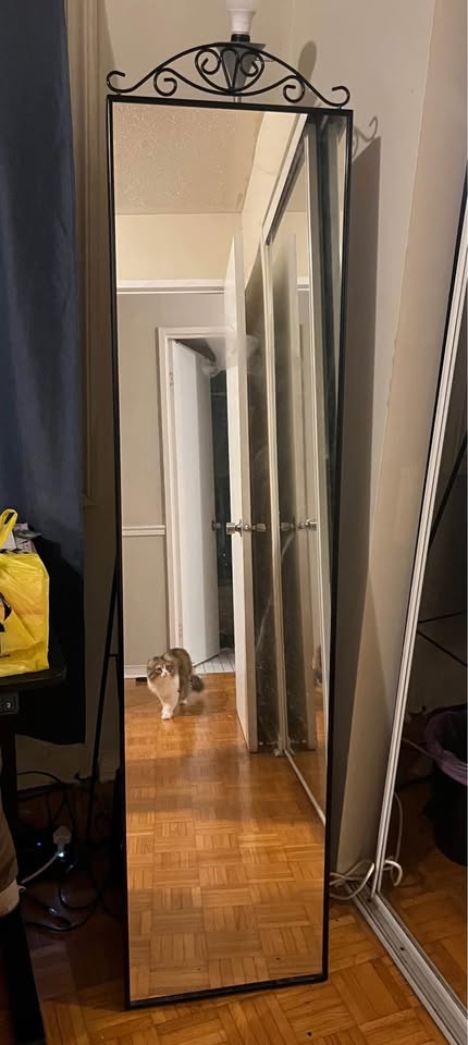IKEA Mirror - MOVEOUT SELL - photo 2