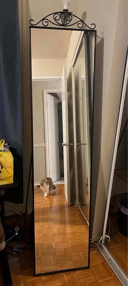 IKEA Mirror - MOVEOUT SELL image indicator(2)