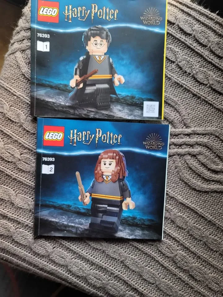 Used 76393 LEGO Harry Potter & Hermione Granger image indicator(3)