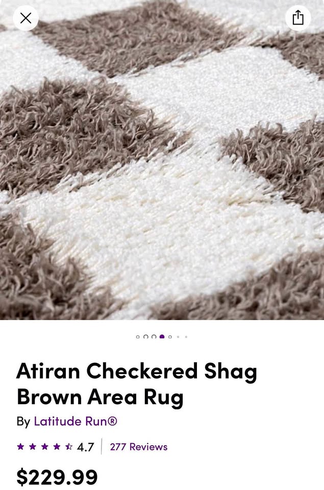 Latitude Run Atiran Checkered Shag Brown Area Rug