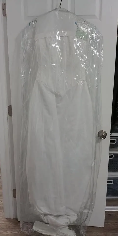 Wedding Dress image indicator(7)