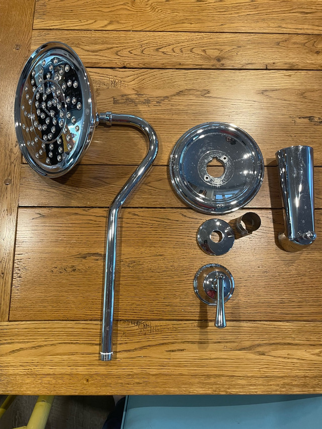 Moen Shower Head