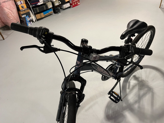 Women bike - bicycle - photo 2