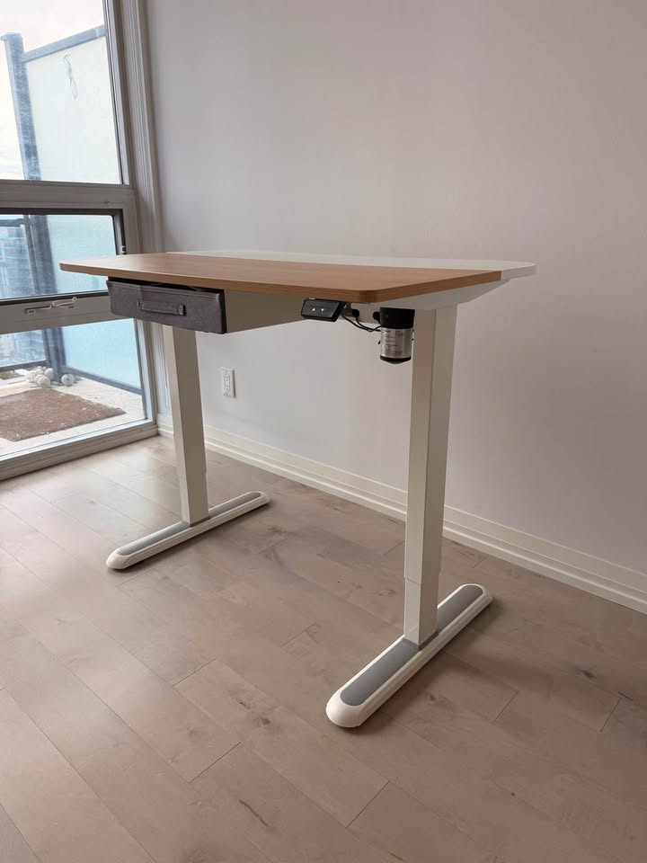 Electric Standing Desk