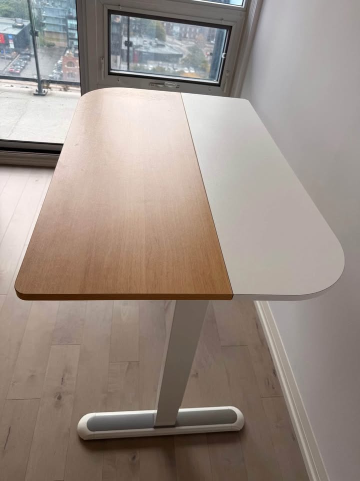 Electric Standing Desk - photo 5