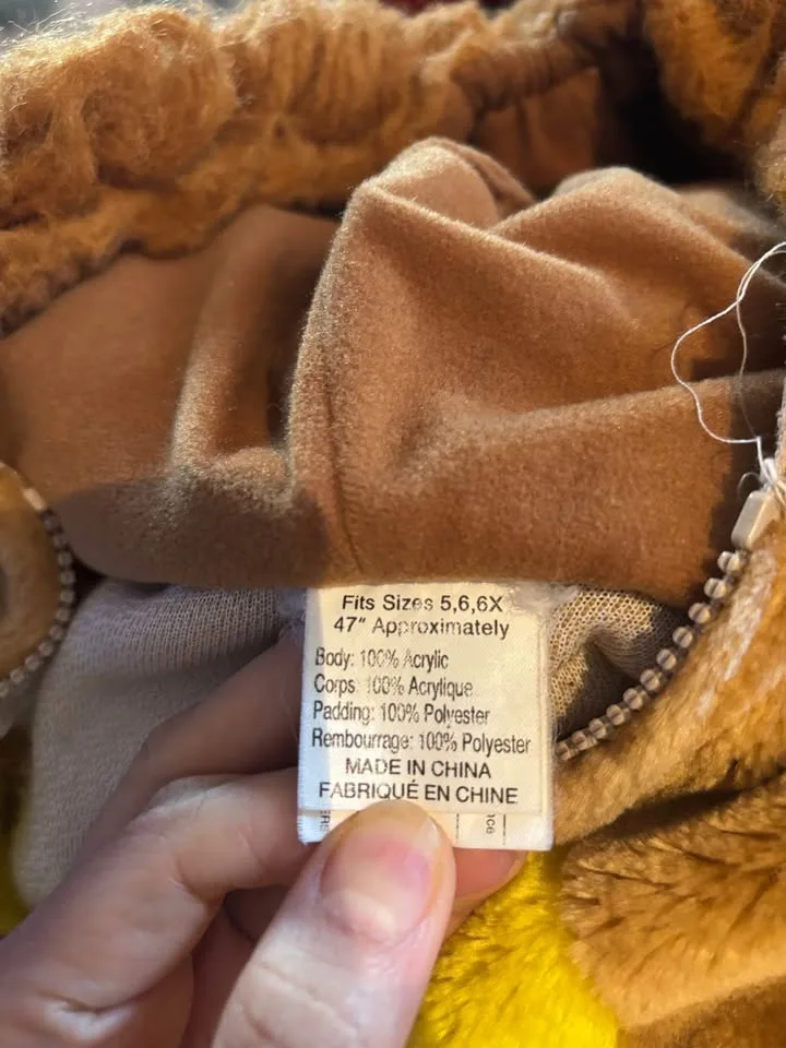 Costume 🦁 Lion for boy/girl image indicator(3)