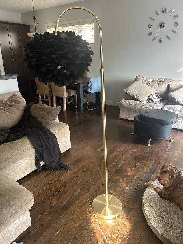 Rachel Zoe Feather Ball Floor Lamp - Black & Gold image indicator(3)