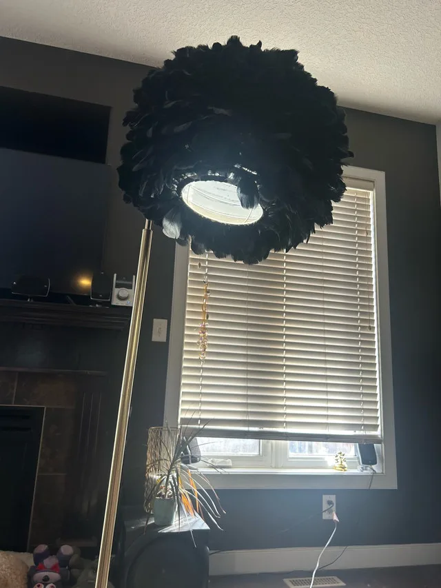 Rachel Zoe Feather Ball Floor Lamp - Black & Gold image indicator(5)