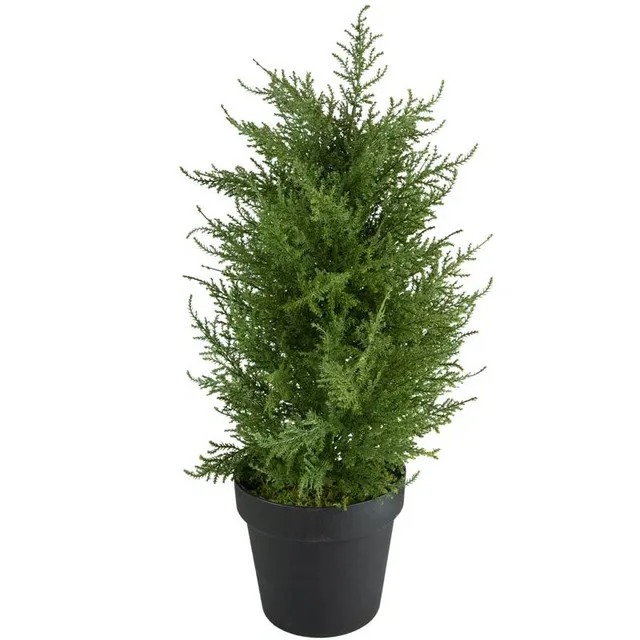 2FT Artificial Cedar Pine Tree in Pot thumbnail