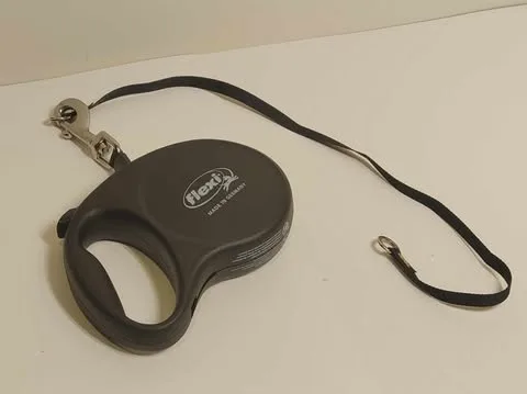 Flexi Retractable Dog Leash | Good Finds image indicator(2)