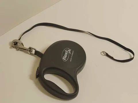 Flexi Retractable Dog Leash | Good Finds image indicator(4)