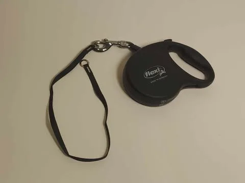 Flexi Retractable Dog Leash | Good Finds image indicator(6)
