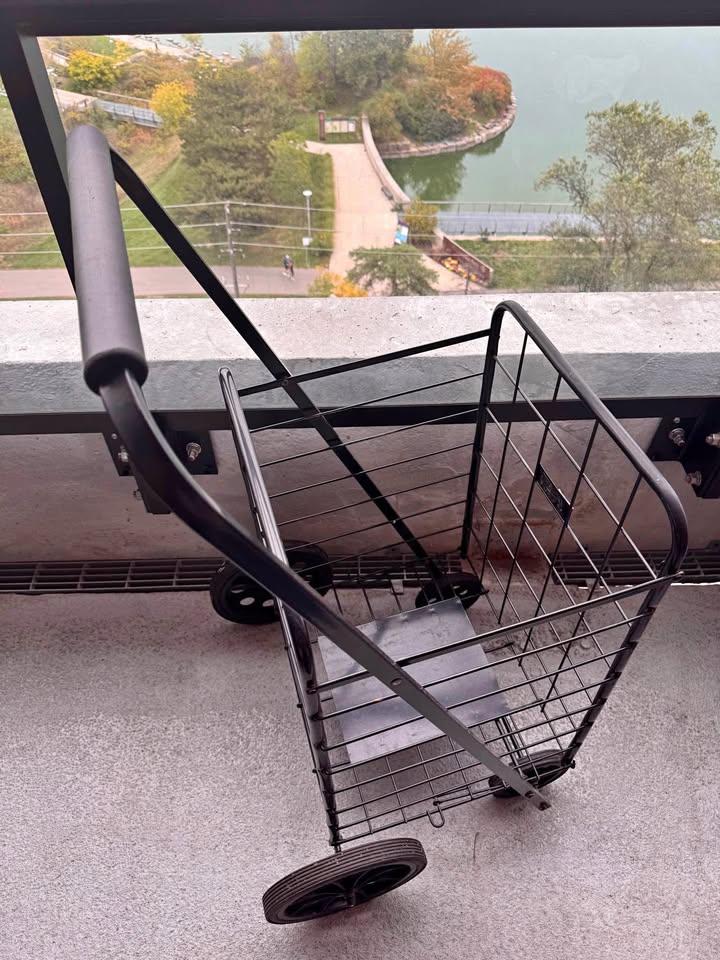 Folding shopping cart
