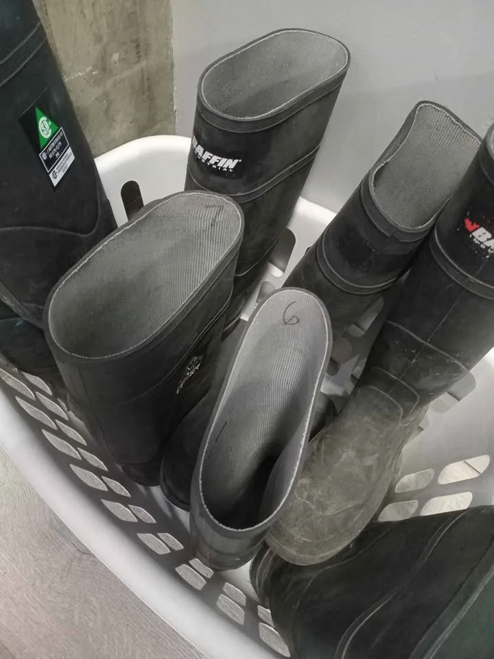 Steel Toe Rain Boots image indicator(4)