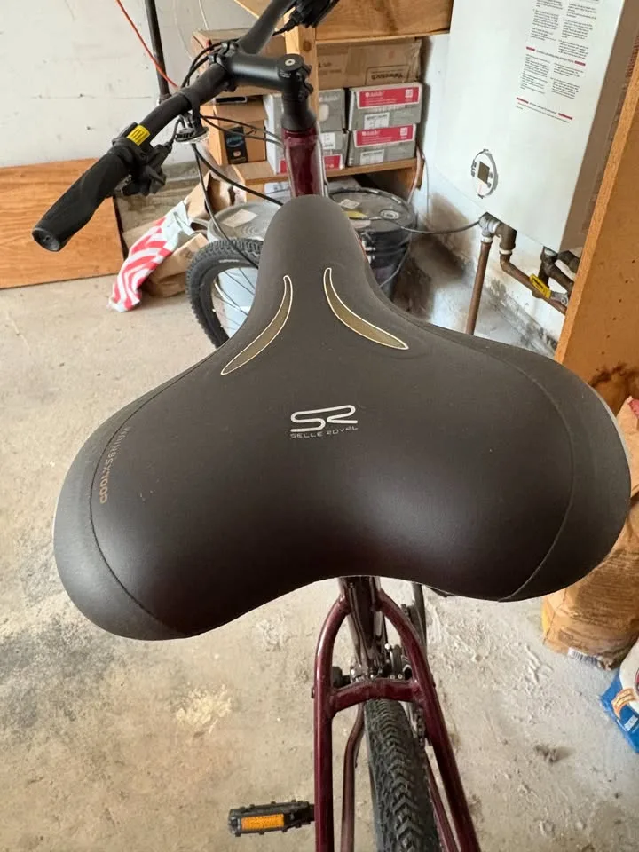 🚴‍♂️ Giant Roam Hybrid Bike – Excellent Condition image indicator(5)