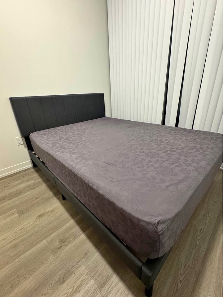 Queen Size Bed Frame *Move out sale*