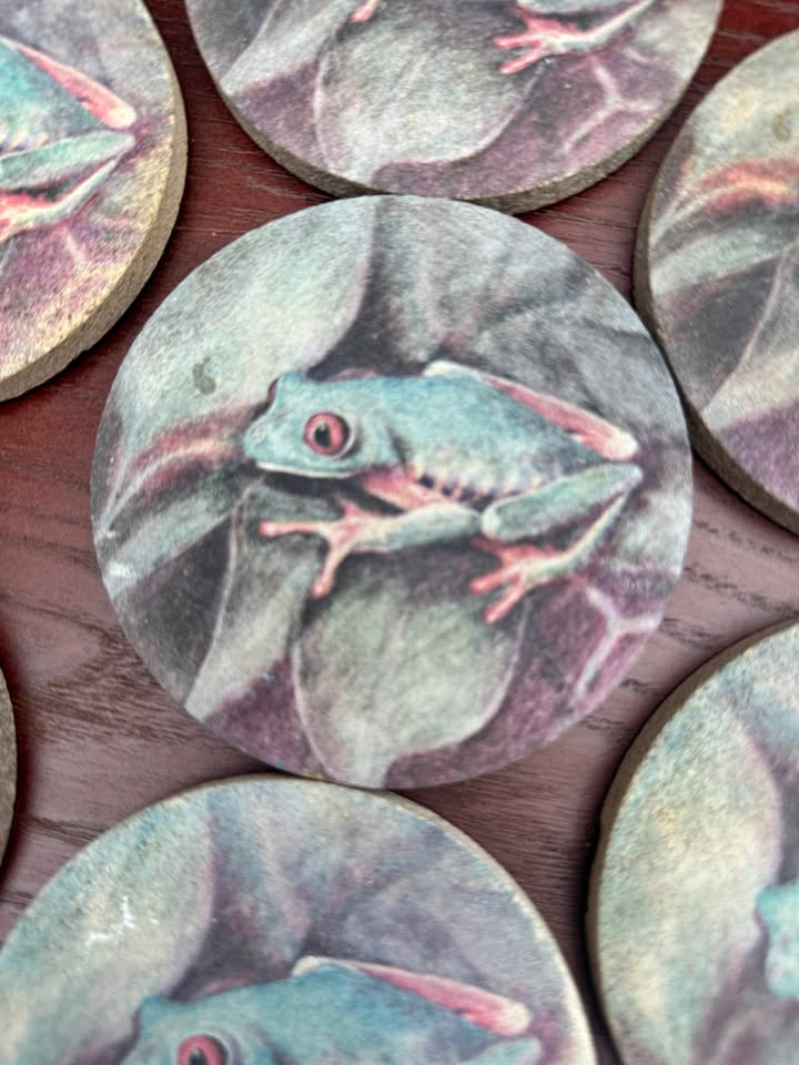 Sandstone Tree Frog Absorbent Coaster Set (7)