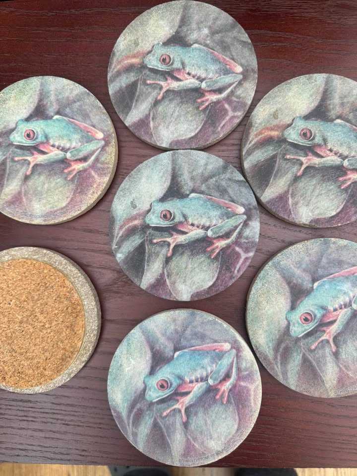 Sandstone Tree Frog Absorbent Coaster Set (7) - photo 2