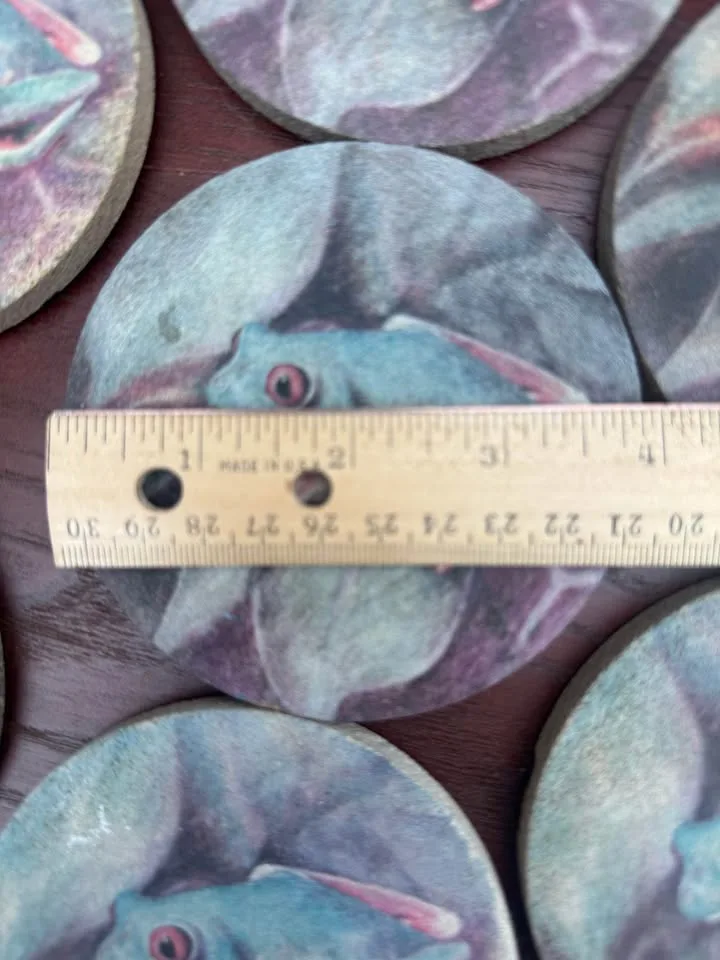 Sandstone Tree Frog Absorbent Coaster Set (7) image indicator(4)