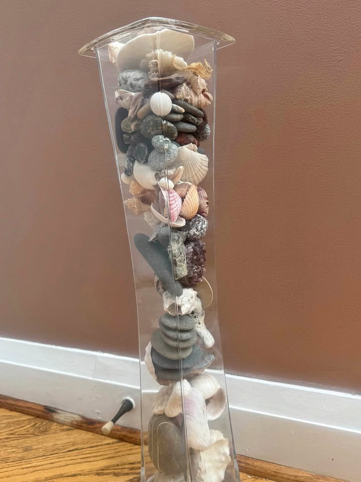 Stunning Tall Glass Vase Filled with Beautiful Shells