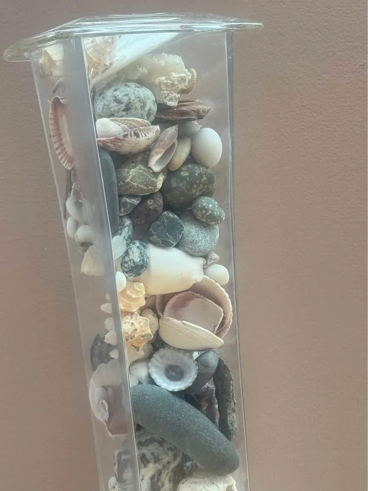 Stunning Tall Glass Vase Filled with Beautiful Shells image indicator(2)