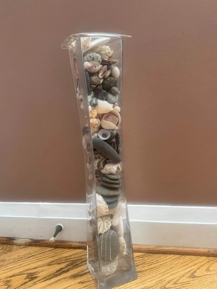 Stunning Tall Glass Vase Filled with Beautiful Shells image indicator(3)