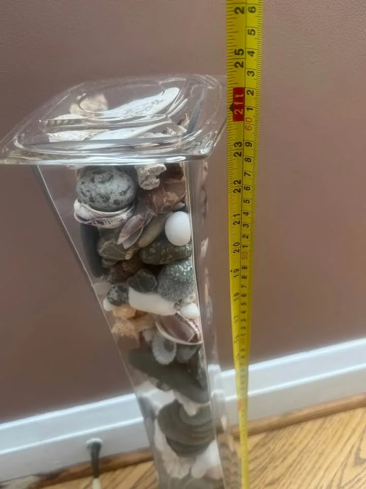 Stunning Tall Glass Vase Filled with Beautiful Shells image indicator(4)