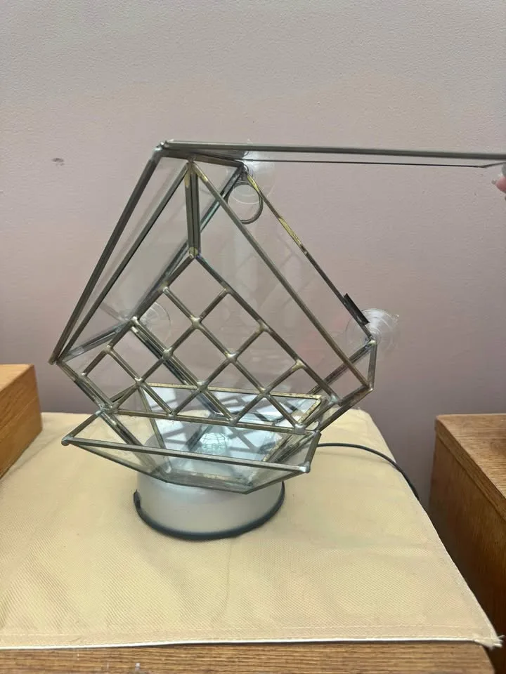 Unique Glass Window Mount Bird Feeder / Terrarium thumbnail