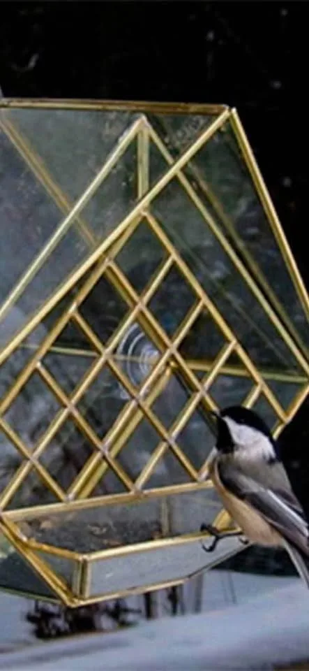 Unique Glass Window Mount Bird Feeder / Terrarium image indicator(2)