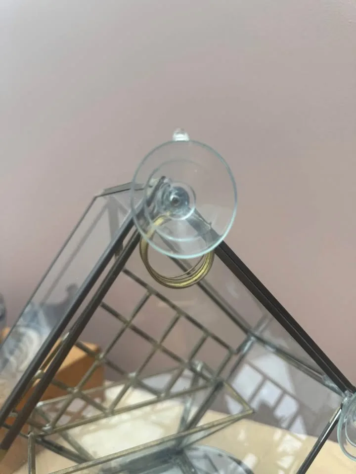 Unique Glass Window Mount Bird Feeder / Terrarium image indicator(5)